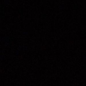 Meet your Posher, Dante